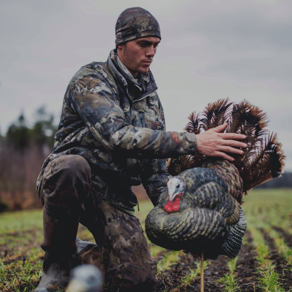 Wild turkey hunting 