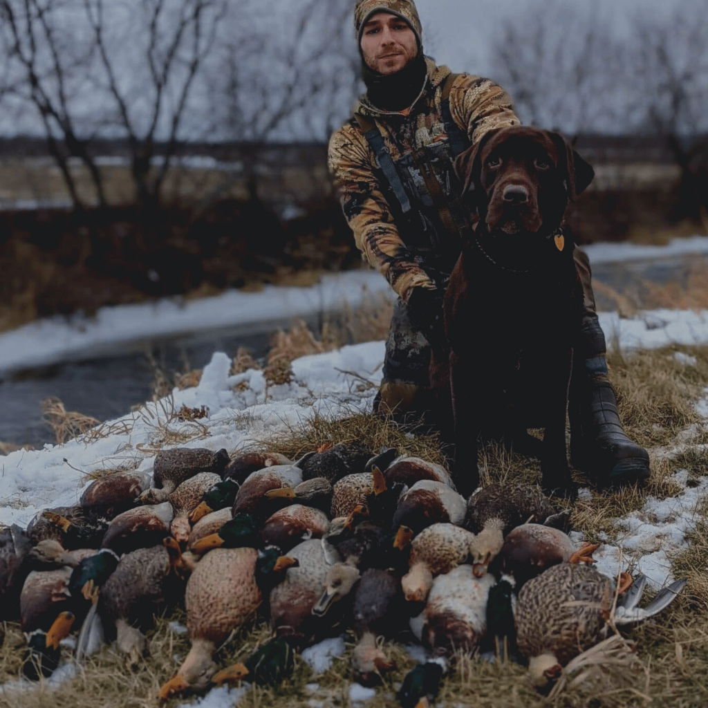 guided duck hunting