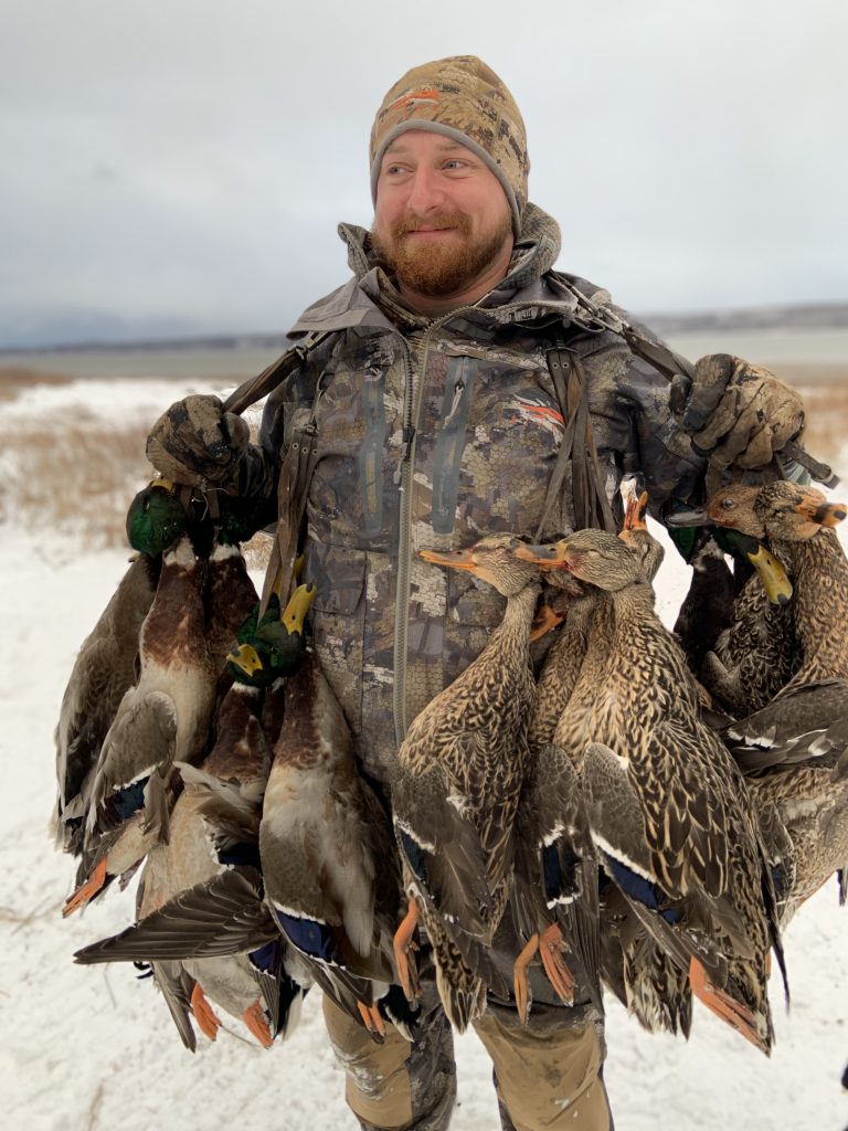 Waterfowl Quebec duck hunting