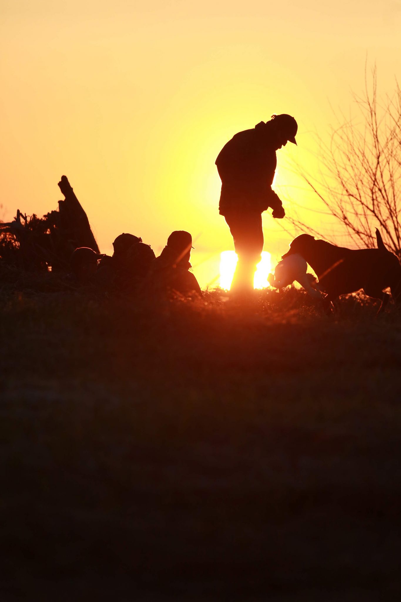 Duck bird hunting packages — La Cache Outfitters – La Cache Outfitters